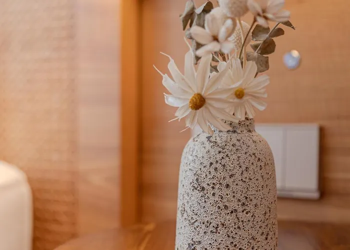 Villa S - Center, Near - 6br Private With Pool, Jacuzzi, Sauna, Karaoke Ha Long